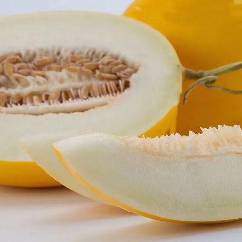 什么蜜瓜怎么吃,解锁夏日清新美味