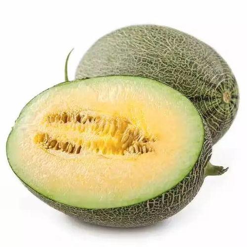 什么蜜瓜怎么吃,解锁夏日清新美味