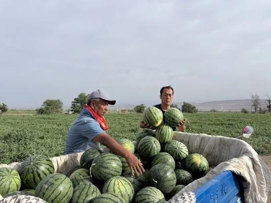 吃瓜坐佳木斯,吃瓜群众的欢乐时光