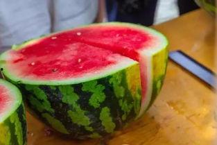 吃瓜对应名字大全,揭秘吃瓜群众名字背后的趣味与智慧