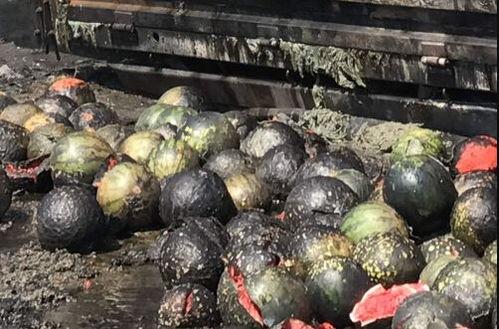 吃瓜着火,一场意外的网络狂欢