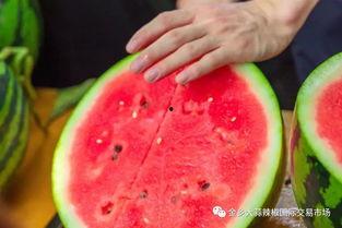 甘肃大学吃瓜,吃瓜群众的味蕾盛宴