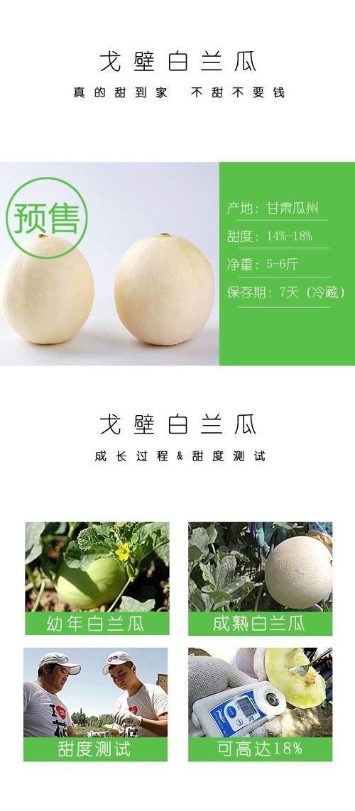 戈壁白兰瓜怎么吃,解锁美味新体验