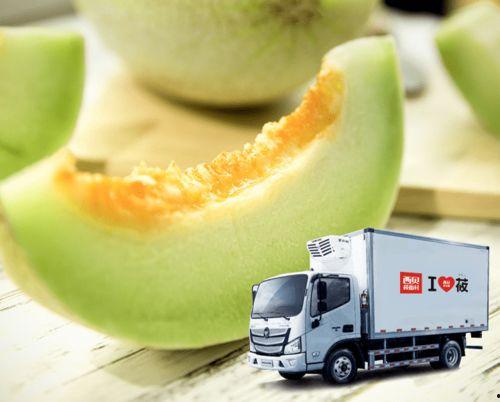 戈壁白兰瓜怎么吃,解锁美味新体验