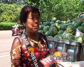 固始吃瓜群众视频,揭秘当地生活百态