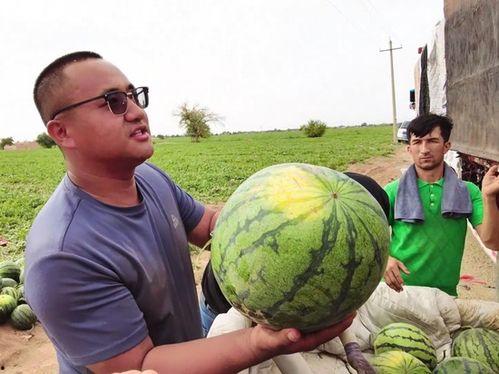 天天吃瓜乐哈哈,天天吃瓜，笑口常开