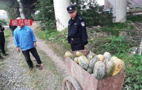 任丘吃瓜事件真相,真相与反思