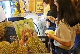 吃瓜自助k歌,尽在吃瓜自助K歌