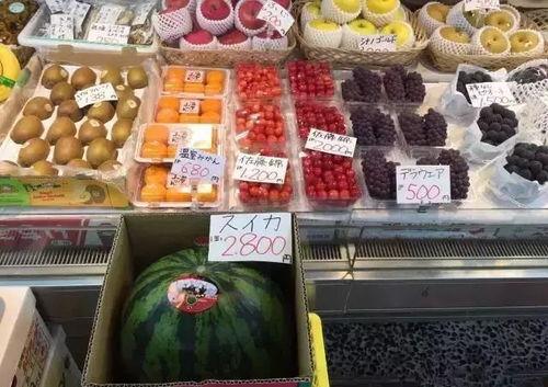 吃瓜自助k歌,尽在吃瓜自助K歌