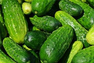 梦见给孕妇吃瓜