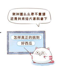 做吃瓜群众的语录,揭秘网络热议背后的趣味与真相