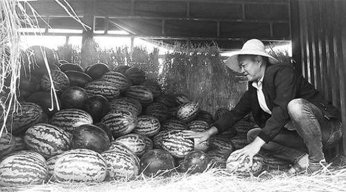 曹妃甸吃瓜群众视频曝光