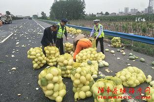 许昌吃瓜新闻事件,网络舆论场中的真相与反转