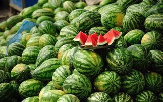 卖吃瓜网站,卖吃瓜网站带你领略网络娱乐新风尚