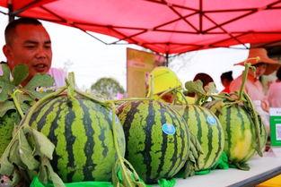 2017年吃瓜网,年度娱乐圈大事件盘点