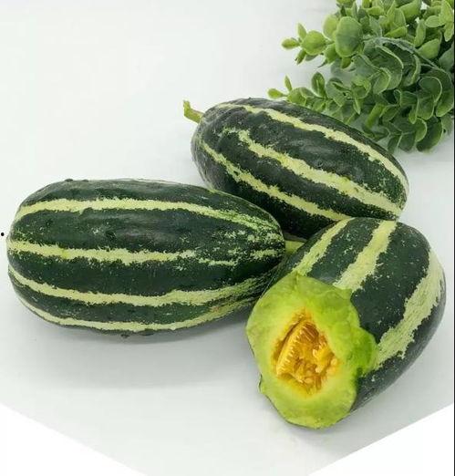 泗水盛吃瓜,瓜果飘香，尽享田园美味时光