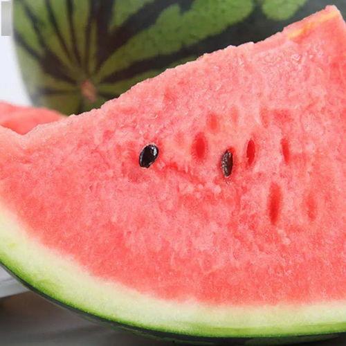 泗水盛吃瓜,瓜果飘香，尽享田园美味时光