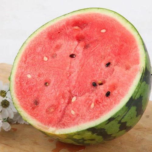 泗水盛吃瓜,瓜果飘香，尽享田园美味时光