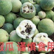 理性吃瓜头像,揭秘娱乐圈幕后真相