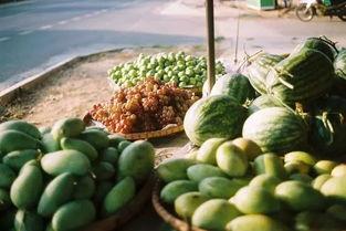 东北真实吃瓜,揭秘真实吃瓜背后的故事