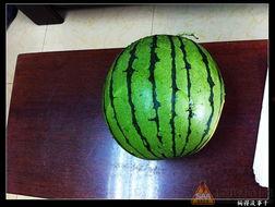 一起吃瓜17,揭秘娱乐圈最新热点事件