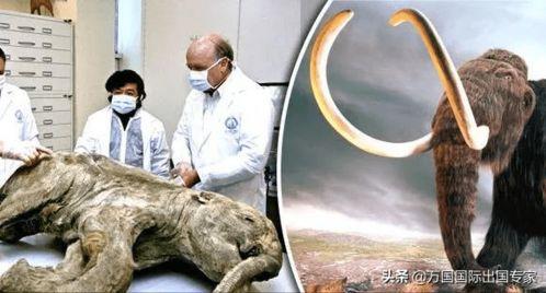 远古时期的吃瓜,揭秘先民们的“吃瓜”生活