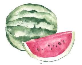 吃瓜吃瓜是什么字,揭秘“吃瓜吃瓜”背后的趣味与内涵