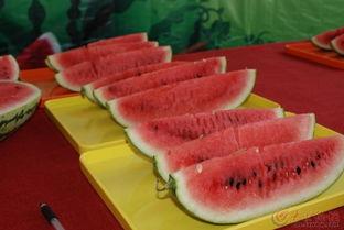 大杨新区吃瓜,吃瓜群众的热议焦点