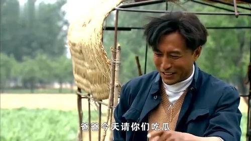 吃瓜县委书记,一场网络热点的背后真相