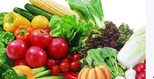 春天种什么藤瓜合适吃,最适合春季食用的藤瓜品种推荐