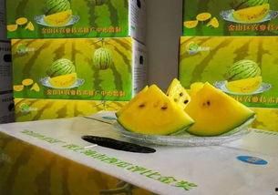 等你回家等你吃瓜,家的温暖等你归来