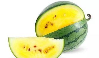 吃瓜 吃瓜 瓜瓜瓜,揭秘“吃瓜群众”的瓜瓜瓜世界