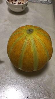 瓜孕妇可以吃吗,孕期孕妇适宜食用的瓜类水果指南