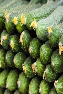 瓜孕妇可以吃吗,孕期孕妇适宜食用的瓜类水果指南