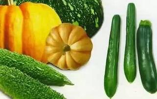 吃瓜200秒,揭秘吃瓜200秒背后的秘密与乐趣