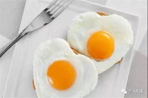 蛋解创业带你吃瓜,带你走进瓜界，探索创业新天地