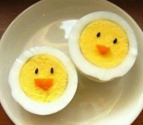 蛋解创业带你吃瓜,带你走进瓜界，探索创业新天地