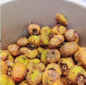 刺梨瓜怎么吃,解锁美味新体验