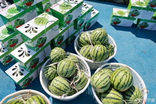 吃瓜楼子,网络热点的幕后故事