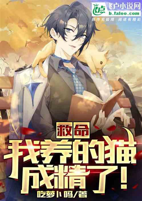 吃瓜的嘉年华小说,揭秘嘉年华背后的故事与人物