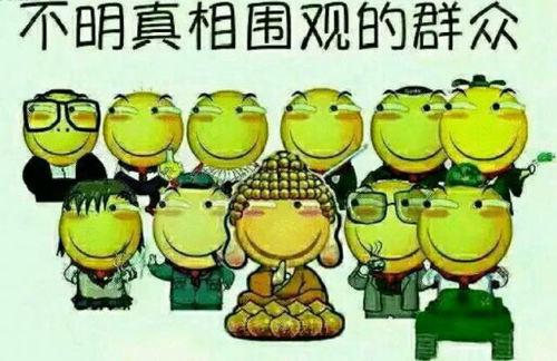 吃瓜群众常用音乐,揭秘吃瓜群众的最爱音乐