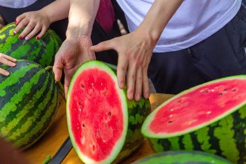 打卡点大学吃瓜