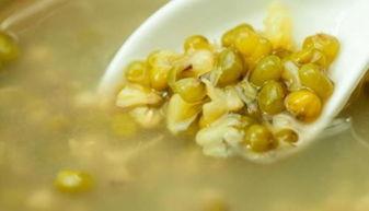 吃瓜吃绿豆汤图片,吃瓜搭配绿豆汤，清凉一夏！