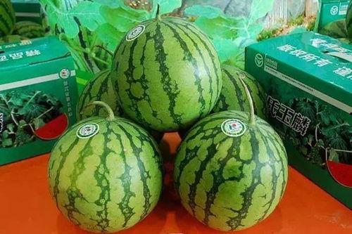 月色吃瓜,一场别开生面的夜市奇遇