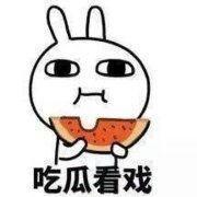 搜狗吃瓜表情,网络潮流新宠，趣味横生诠释社会现象