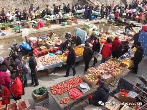 老邢吃瓜群众,揭秘娱乐圈幕后故事