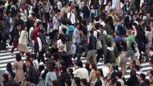 吃瓜跳河视频,网络视频引发热议