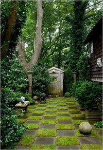 院子吃瓜视频,揭秘网红视频背后的趣味生活