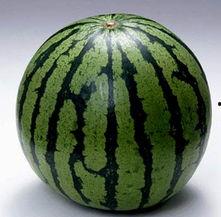 吃瓜是什么来源,吃瓜文化的起源与演变