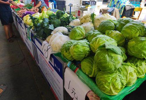 摆摊吃瓜文案,瓜果飘香，尽享人间烟火气